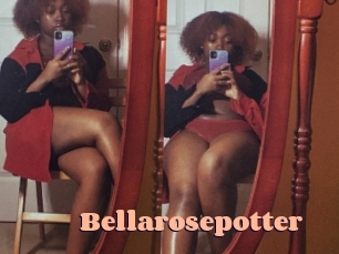 Bellarosepotter