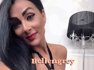 bellengrey Chatte Rasée