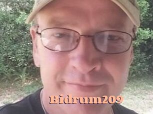 Bidrum209