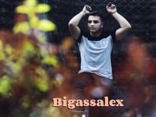 Bigassalex