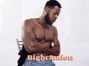 Bigbrandon