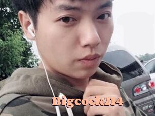Bigcock214