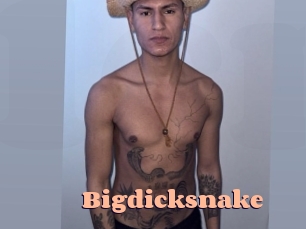 Bigdicksnake