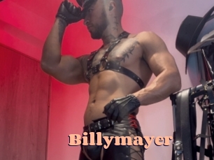 billymayer Chatte Rasée