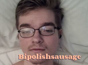 Bipolishsausage