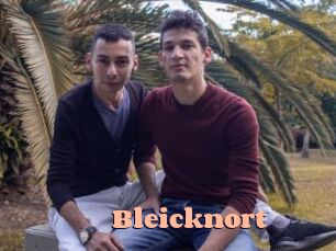 Bleicknort