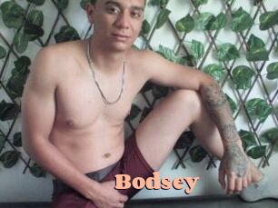 Bodsey