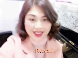 bosai Chatte Rasée