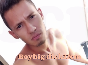 Boybig_dick22cm
