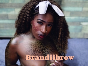 Brandiibrow