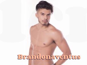 Brandonaventus