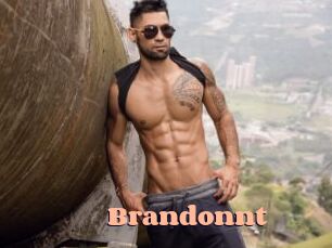brandonnt Chatte Rasée