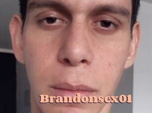 Brandonsex01