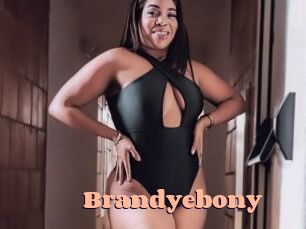 Brandyebony