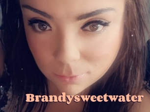 brandysweetwater Chatte Rasée
