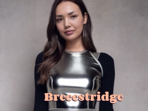 Breeestridge