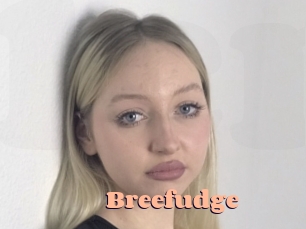 Breefudge