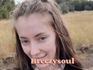 Breezysoul