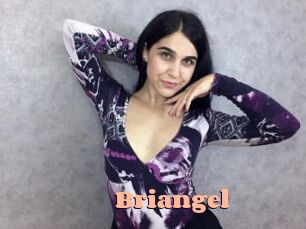 briangel Chatte Rasée