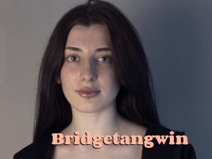 Bridgetangwin