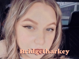 Bridgetharkey