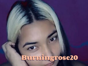 Burningrose20