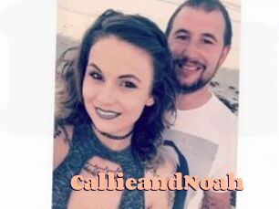 Callie_and_Noah Chatte Rasée