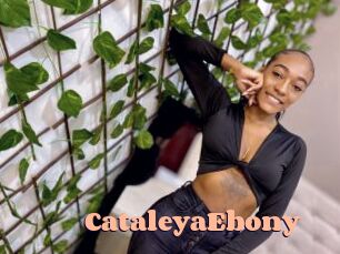 CataleyaEbony