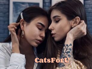 CatsForU