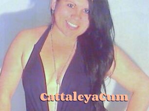 CattaleyaCum