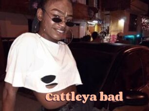 Cattleya_bad