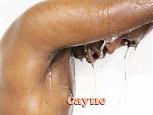 Cayne Chatte Rasée