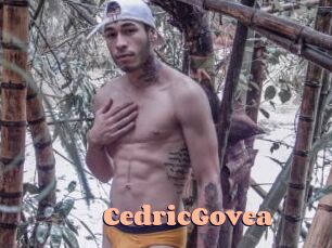 CedricGovea