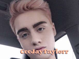 CeeJayTaylorr