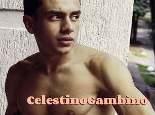 CelestinoGambino