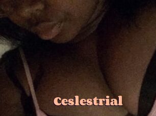 Ceslestrial