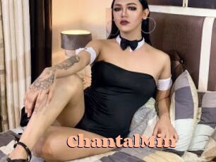 ChantalMin Chatte Rasée