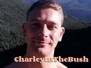CharleyInTheBush