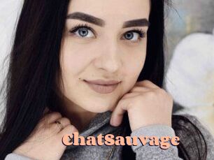 ChatSauvage Chatte Rasée
