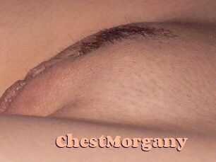 ChestMorgany Chatte Rasée