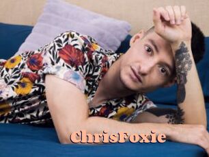 ChrisFoxie Chatte Rasée