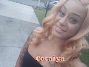 Cocaiya