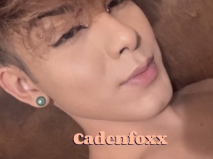 Cadenfoxx