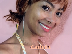 cadria Chatte Rasée