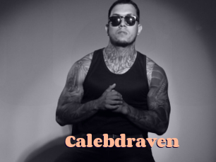 calebdraven Chatte Rasée