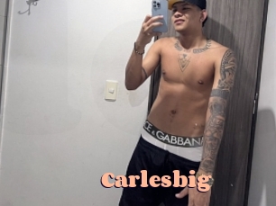 carlesbig Chatte Rasée