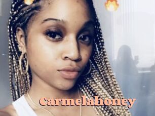 carmelahoney Chatte Rasée