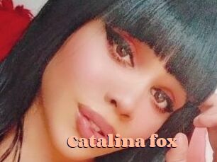 Catalina_fox