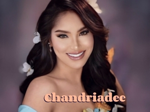 chandriadee Chatte Rasée