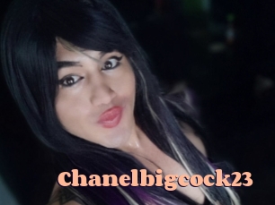 chanelbigcock23 Chatte Rasée